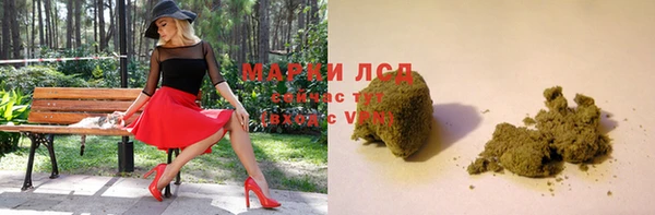 прущие грибы Володарск