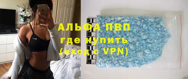прущие грибы Володарск
