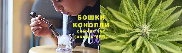 прущие грибы Володарск